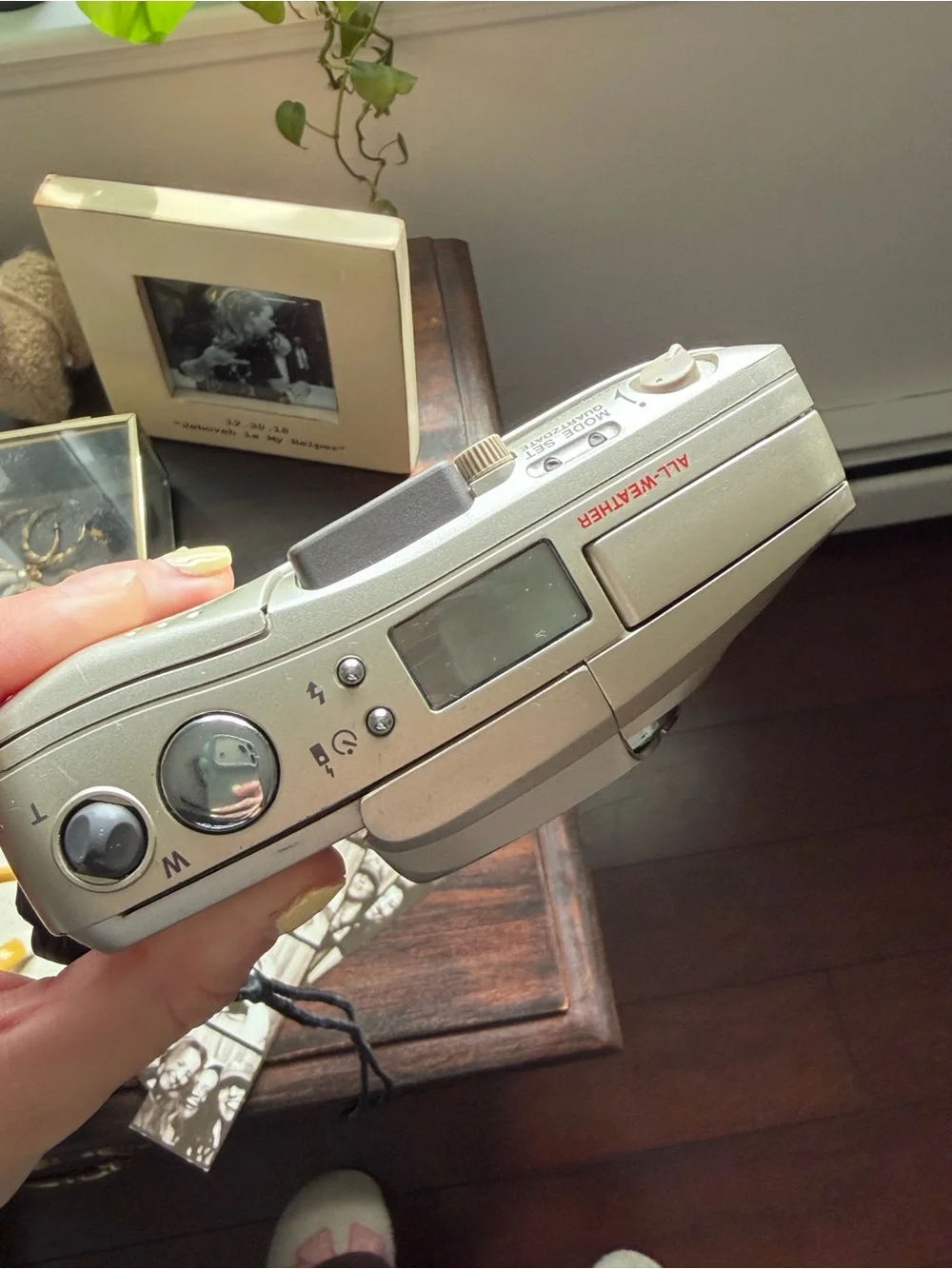 Olympus portable point
